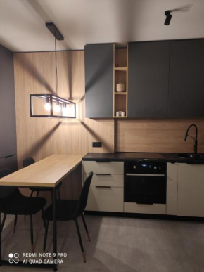 New loft style apartment